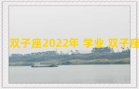 双子座2022年 学业 双子座今年学业